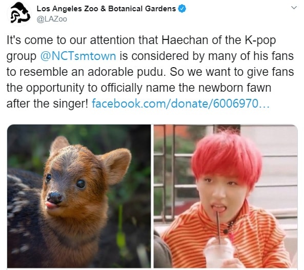 K-POPアイドルの名前をつけた動物園
