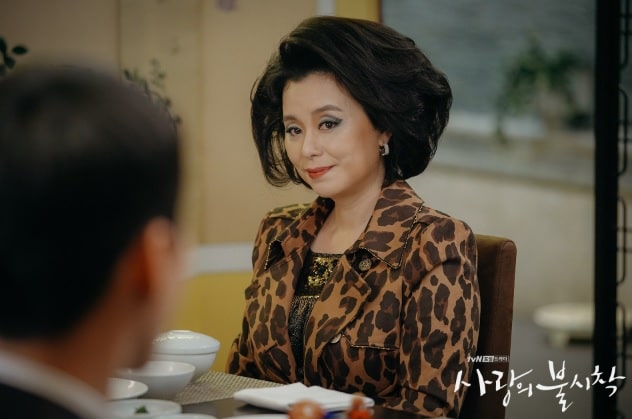 チャン・ヘジンは、『愛の不時着』で、ソ・ダン(ソ・ジヘ扮)の母親役に扮した。