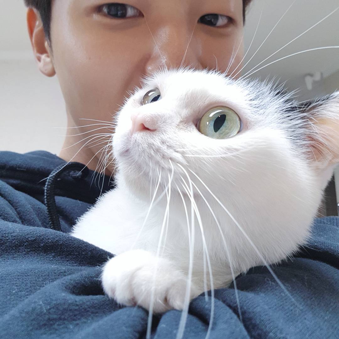 CNBLUE カン・ミニョクとイ・ジョンシン本日(19日)共に除隊 CNBLUE カン・ミニョクとイ・ジョンシン本日(19日)共に除隊