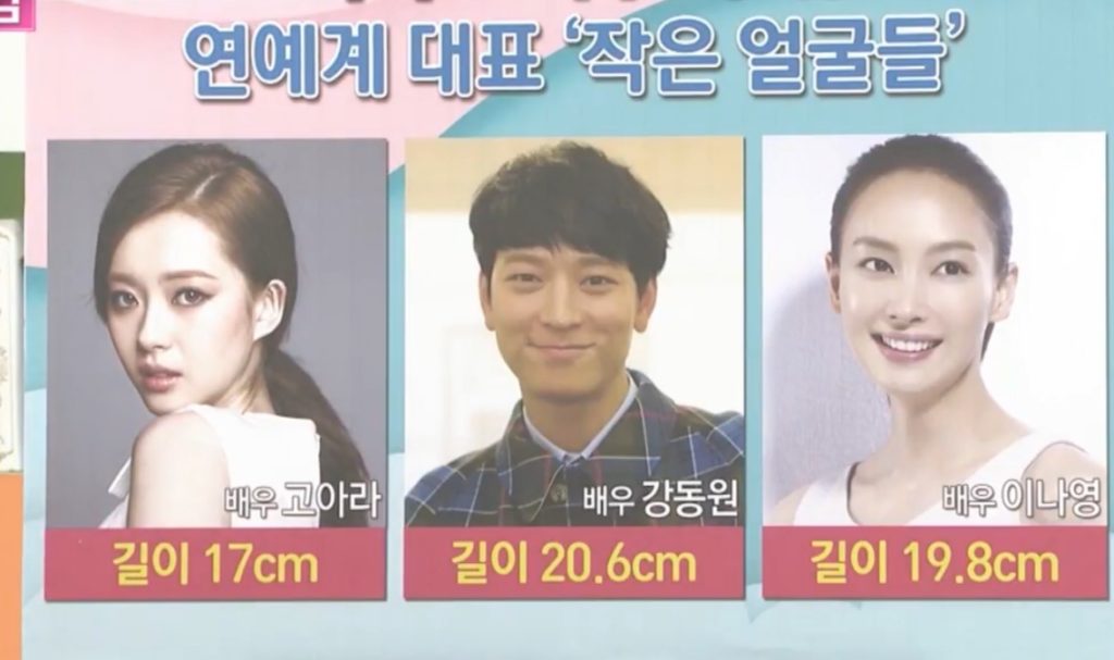 韓国人の顔の大きさの平均値