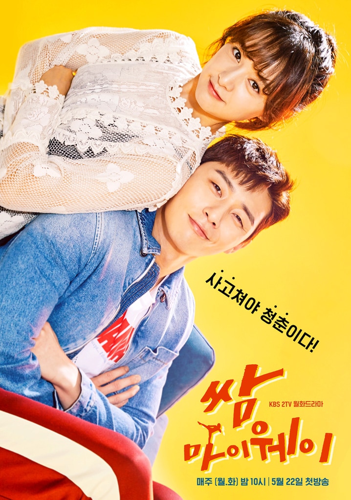 『サム、マイウェイ～恋の一発逆転!～(KBS/2017)』は、ソン・ハユンが出演した。