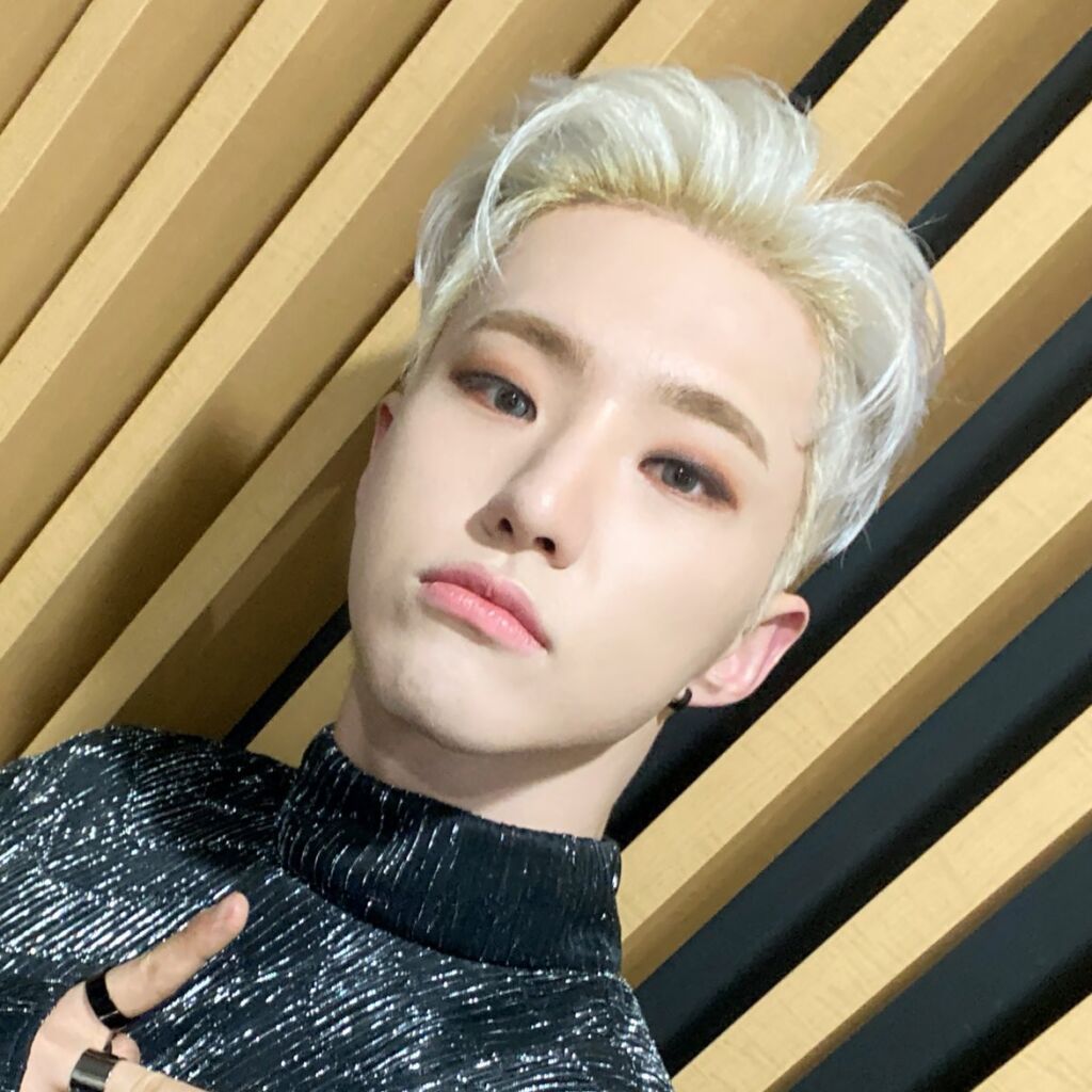 ホシ (SEVENTEEN) 最新ニュース ＆ プロフィール - K-POPアイドルの情報ならDANMEE ダンミ