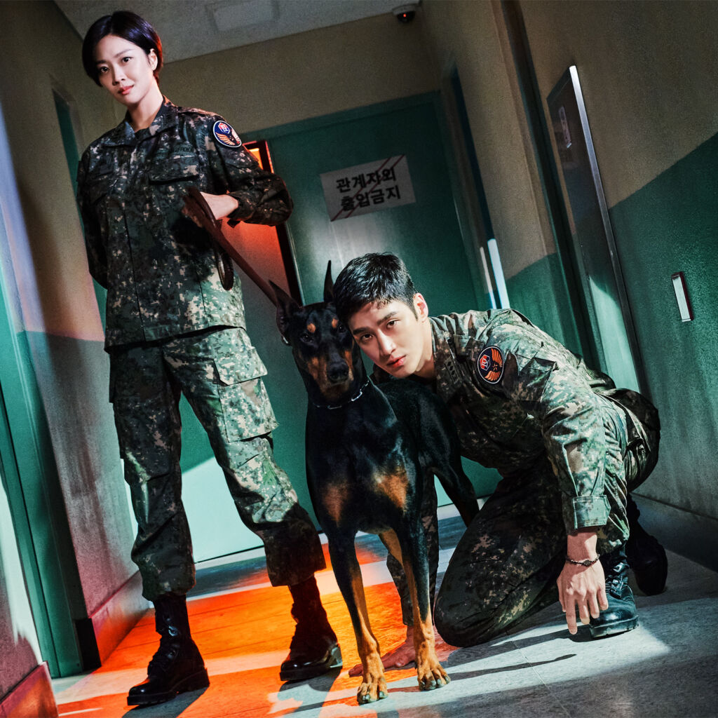新品未開封◆軍検事ドーベルマン DVD-BOX1&2◆アン・ボヒョン◆韓国ドラマ Amazon.co.jp: 韓国ドラマ【軍検事ドーベルマン】全話 DVD