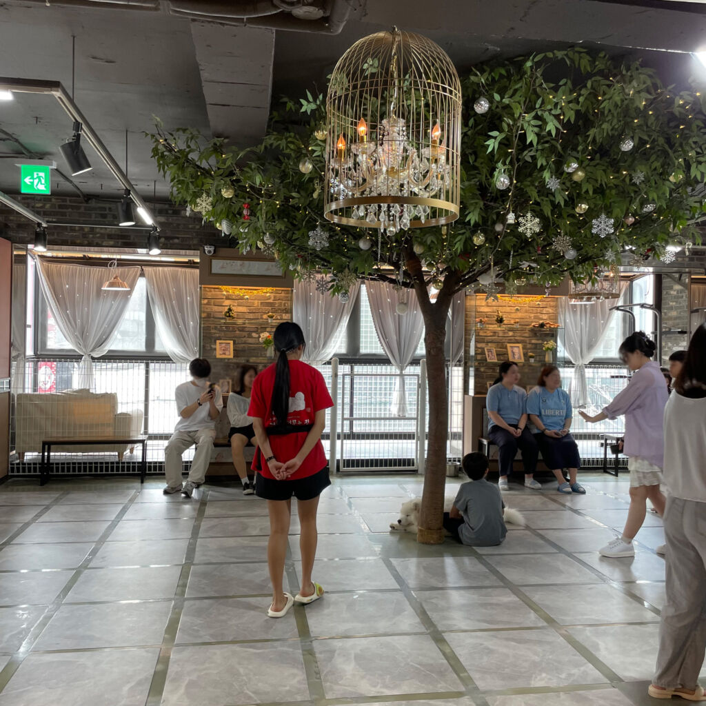 店内 겨울이 머무는 집(キョウリ モムヌン チプ)　