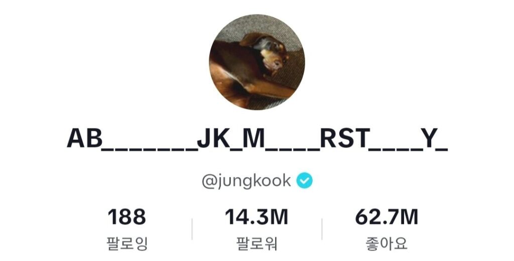ジョングクが変更したTikTokアカウント名。画像は愛犬のバム (画像出典：BTS 公式X ※Twitter)