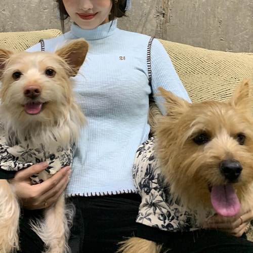 TWICE モモの愛犬・ドビー[左]＆ブー[右] (画像出典：モモ 公式Instagram)