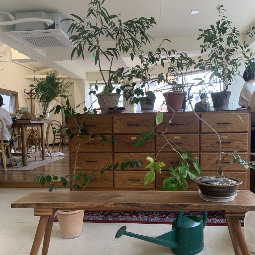 店内 木路庭園 
