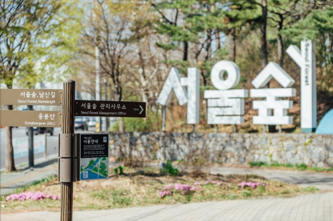 “ソウルの森”はソウル特別市の東部にある大公園
